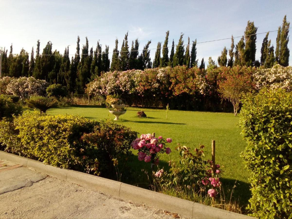 Apartmán Le Rose Olmedo Exteriér fotografie