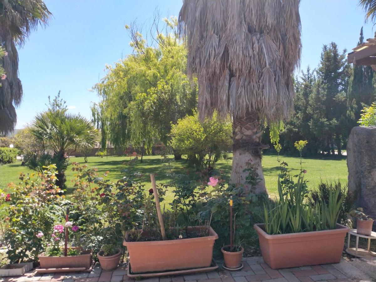 Apartmán Le Rose Olmedo Exteriér fotografie