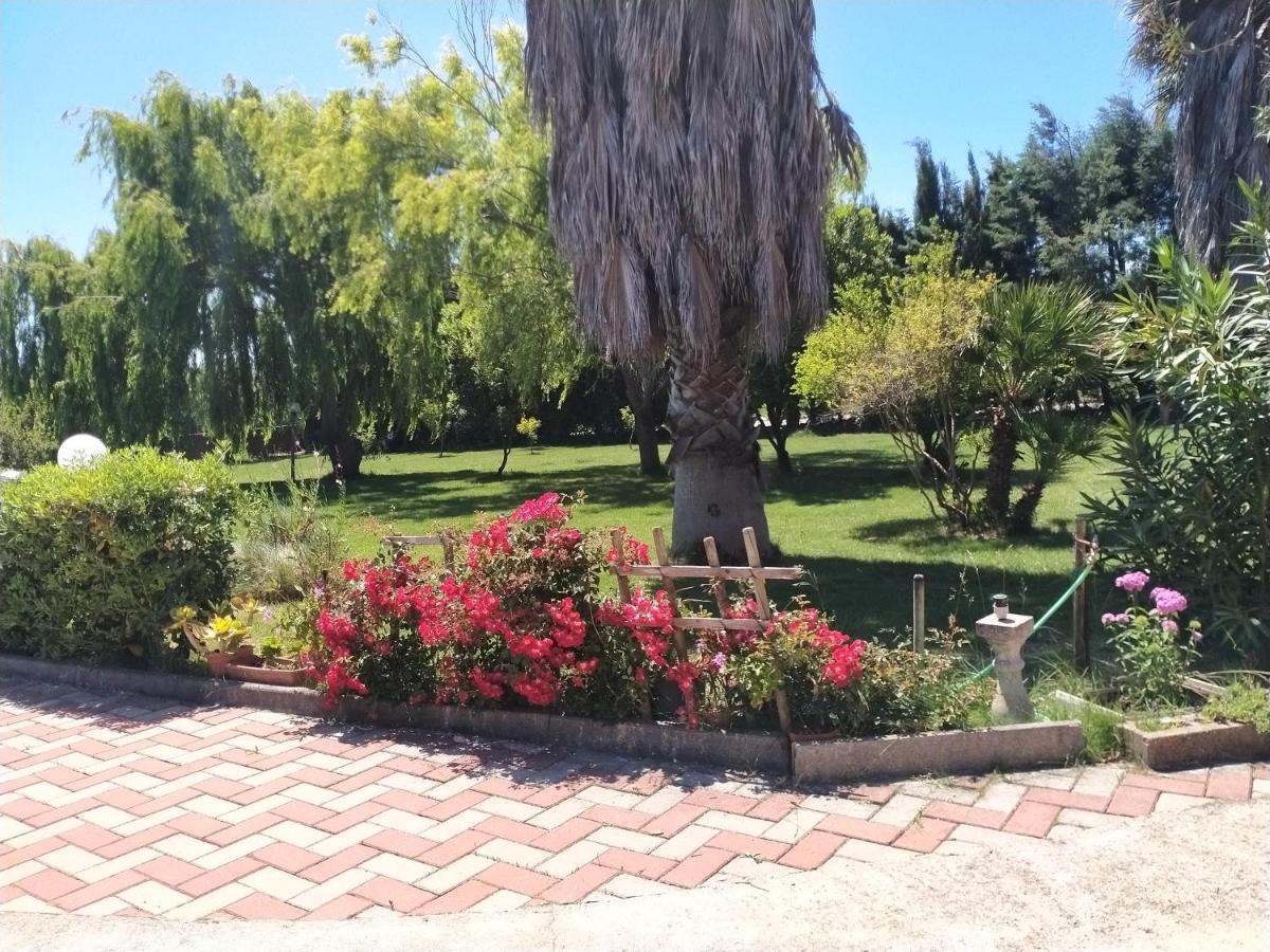 Apartmán Le Rose Olmedo Exteriér fotografie