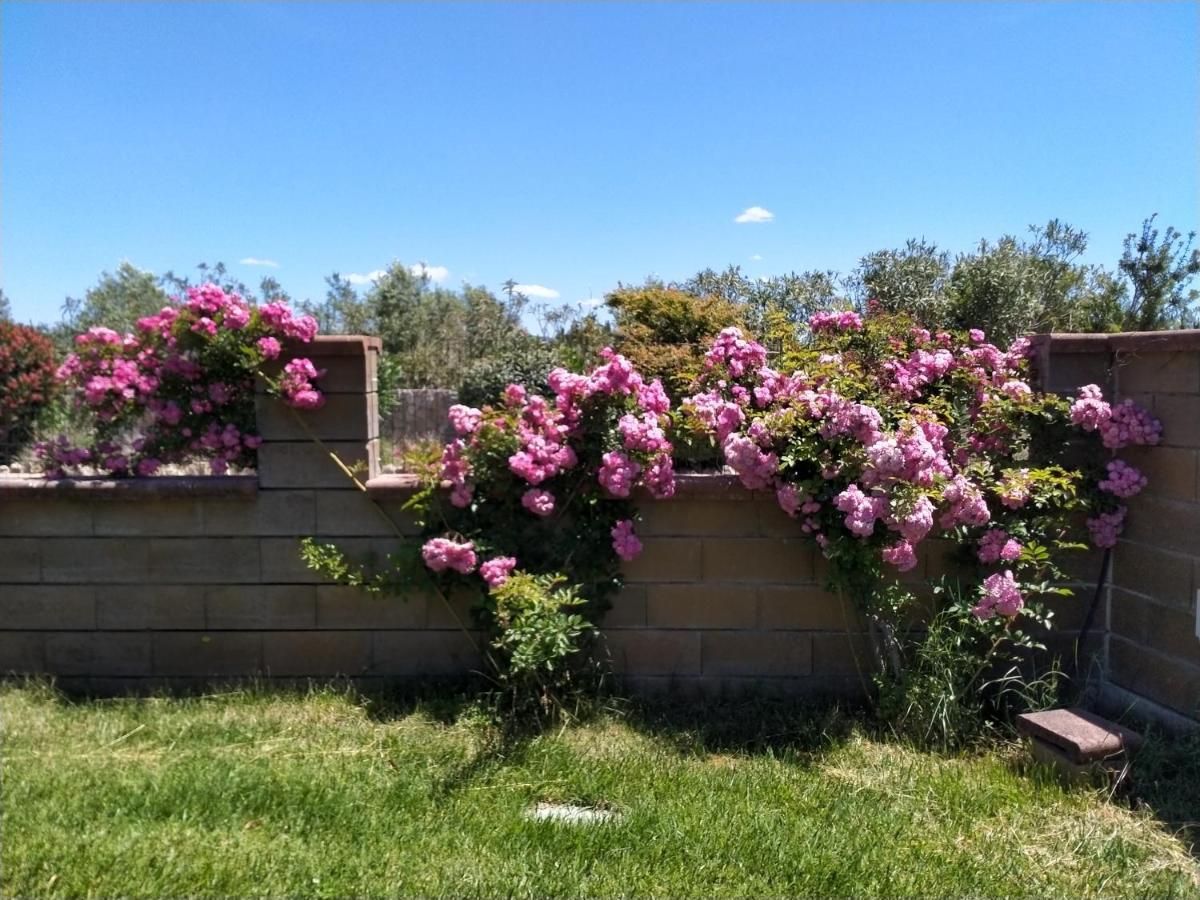 Apartmán Le Rose Olmedo Exteriér fotografie