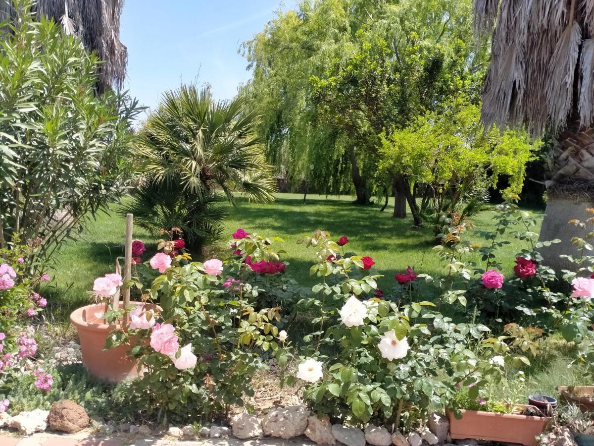 Apartmán Le Rose Olmedo Exteriér fotografie
