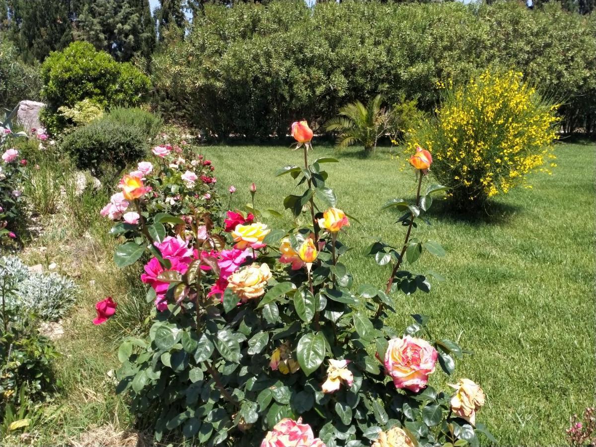 Apartmán Le Rose Olmedo Exteriér fotografie