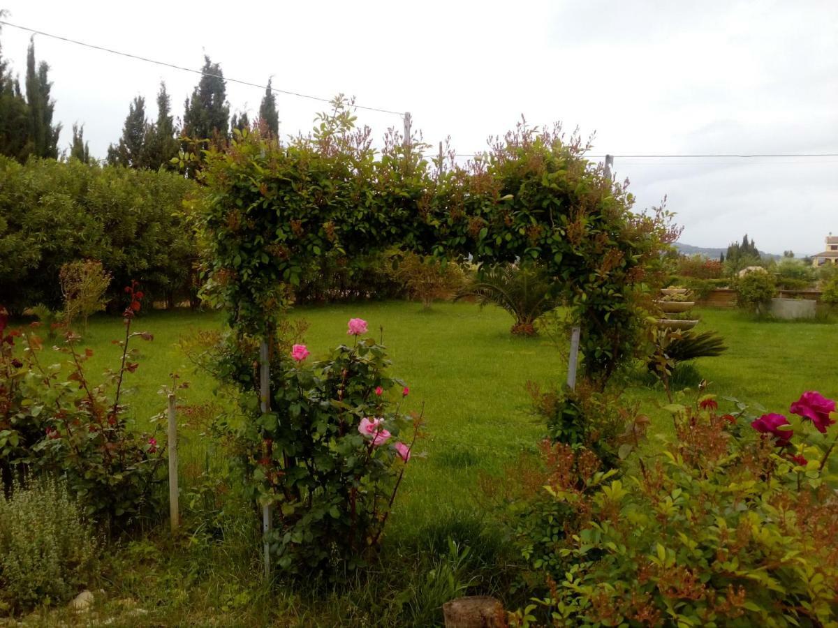 Apartmán Le Rose Olmedo Exteriér fotografie