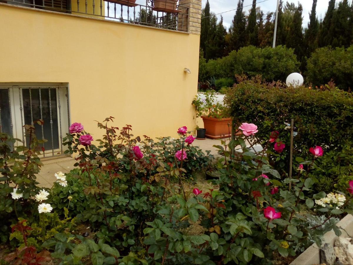 Apartmán Le Rose Olmedo Exteriér fotografie