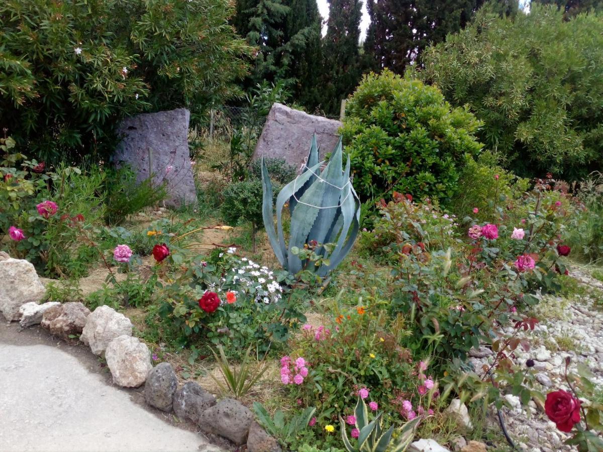 Apartmán Le Rose Olmedo Exteriér fotografie